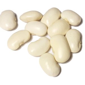 Fasola